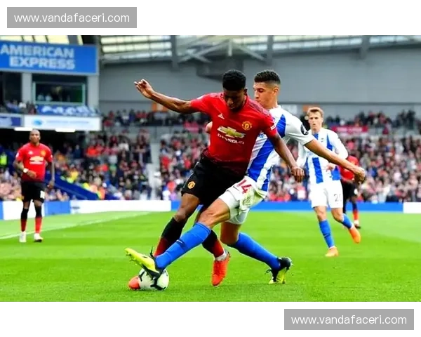 曼联2019赛季完整赛程回顾与分析 展望球队未来表现与挑战